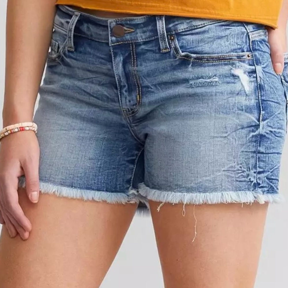 BUCKLE/BKE Payton Stretch Jean Short 
28 / Nyberg